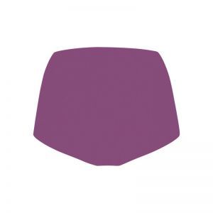 Women Secrets Basic High Waist 2216 purple orc