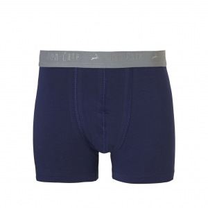 Basic Teens Boys Shorts 2-pack medieval blue