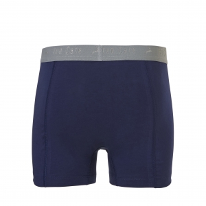 Basic Teens Boys Shorts 2-pack medieval blue