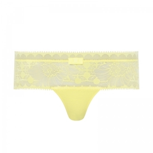 Day to Night 0SS Daffodil