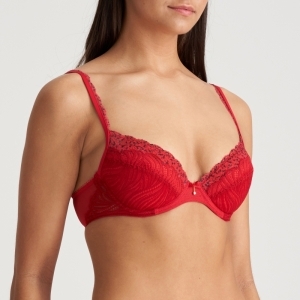 COELY STK Strawberry