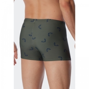 Herenzwembroek, short 707 oliv