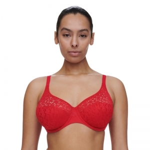 Norah Covering molded bra 0YU Klaproos