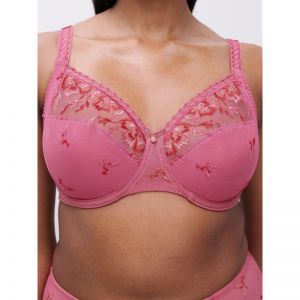 Every Curve B37 Dahlia mult
