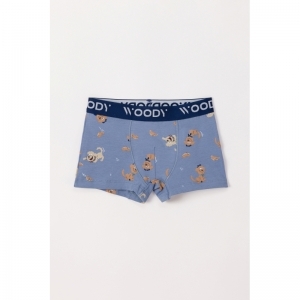 Jongens boxershorts, 2-pack 018 set blauw +