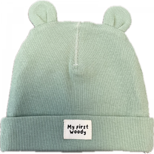 Unisex muts 737 groen