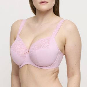 SALERNO SNR Spring Rose