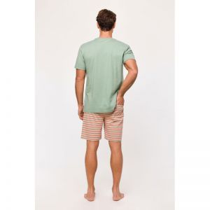 Herenpyjama, korte mouwen 751 groen