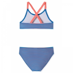 Bikini 813 aquarium