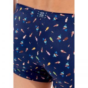 Swim shorts - Summer I0RA Navy print