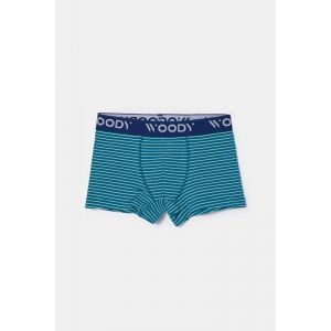 Jongens boxer 2-pack 021 set groenbl