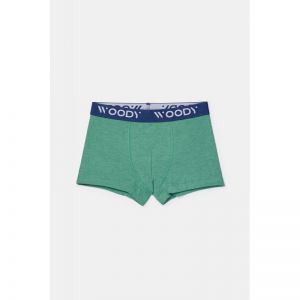Jongens boxershorts 2-pack 018 groen + str