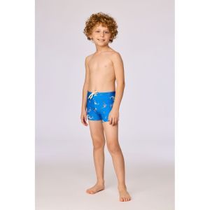 Jongens zwembroek 931 blauwe haai