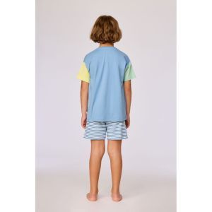 WoodyxHet Hannekesnest jongen 818 blauw